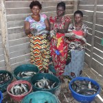Récolte des poissons par les jeunes filles encadrées par UCBUM